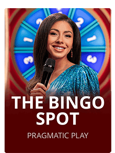 The Bingo Spot