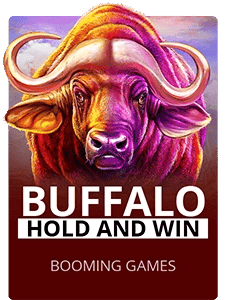 Buffalo Hold and Win
