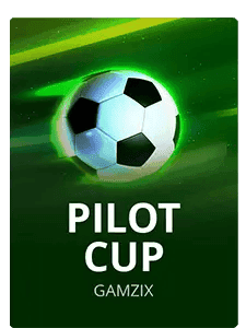 Pilot Cup
