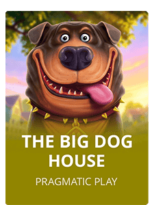 The Big Dog House
